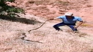 Dağda bulduğu 3 metrelik yılanı önce sevdi, sonra tekrar doğaya bıraktı