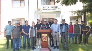 Datçadaki orman yangını kontrol altına alındı