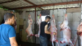 Diyarbakırda kestikleri 41 kurbanı 350 aileye dağıttılar