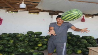 Doğunun Çukurovasından çevre illere sebze ve meyve satışı