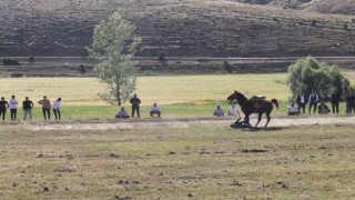 Düğün için oynanan ciritte ciritçinin attan düşmesi kameraya yansıdı