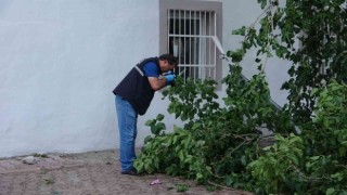 Dut toplamak için çıktığı ağaçtan düşen yaşlı adam yaşamını yitirdi