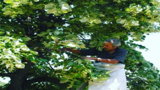 Düzce, ülke ekonomisine katkı verdi