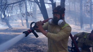 Edirnede orman yangınına müdahale sürüyor