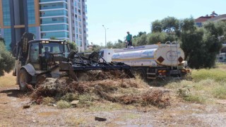 Efelerde yangın tehlikesine geçit yok