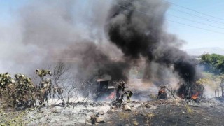 Elektrik tellerine çarpan kuş yangına sebep oldu