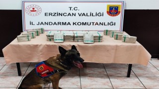 Erzincanda tır içerisinde 25 kilo 720 gram eroin ele geçirildi