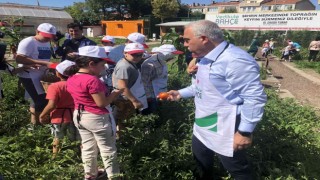 Fatihte Çocuk Hasat Bayramı yapıldı