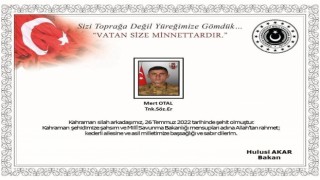 Fırat Kalkanı Harekatı bölgesinde 2 asker şehit oldu