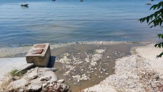 Florya Sahilinde kanalizasyon suyu denize karıştı