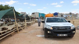 Gaziantepte kurban satış ve kesim yerleri ilaçlanıyor