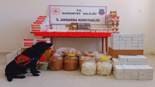 Gaziantepte uyuşturucu ve kaçakçılık operasyonu: 76 gözaltı