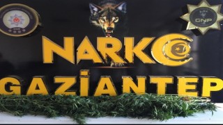 Gaziantepteki uyuşturucu operasyonlarında 27 şahıs tutuklandı