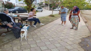 Genç kız köpeğin saldırısına uğradı
