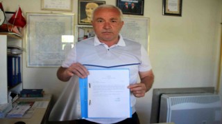 Gölge yapıyor diye cami bahçesindeki çeyrek asırlık ağaçları kestiler