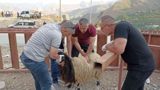 Hakkaride kurbanlık satışları sürüyor