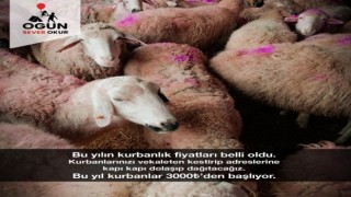 Hayırsever Okur, ihtiyaç sahipleri için kurban bağışı topluyor