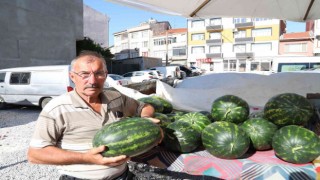 Hayraboluda yerli karpuz satışları başladı