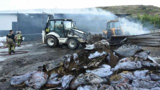 Hayvan çiftliğinde yangın çıktı, 60 hayvan telef oldu