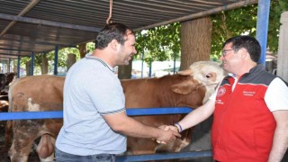 Hayvan satış ve kesim yerleri bayrama hazır