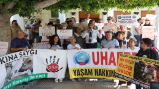 Hayvanseverler 400 köpeğin akıbetini sordu