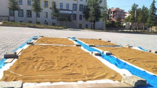 Hisarcıkta şifa deposu haşhaş tohumları yıkanıp güneşte kurutuluyor
