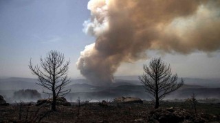 İspanyadaki orman yangınında 2 bin hektarlık alan küle döndü