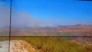 İzmir Seferihisarda orman yangını