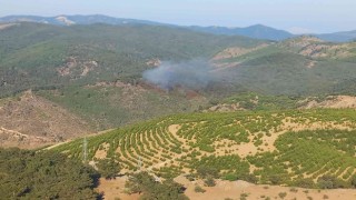 İzmirde Bergama ve Dikilide yangın