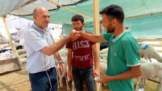 İzmirde kurbanlık fiyatları bayram günü düştü