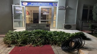 İzmirde uyuşturucu operasyonları: 23 şüpheli yakalandı