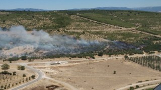 İzmirde ziraat arazisindeki yangın kontrol altında