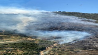 İzmirdeki orman yangını 149 dakikada kontrol altına alındı