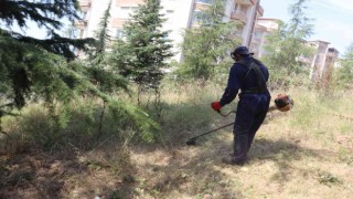 İzmit Belediyesinden Alikahyada tırpan mesaisi