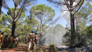 Jandarma ekipleri orman yangınlarına hazır