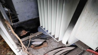 Kablo çalmak için girdiği trafo içerisinde sıkışınca yakalandı