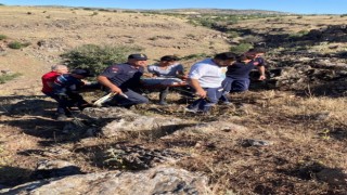 Kaçan keçiyi yakalamak isteyen kayalılardan yuvarlandı