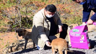 Kahramankazan Belediye Başkanı Oğuzdan sokak hayvanları için “bir kap su” çağrısı