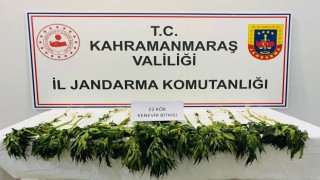 Kahramanmaraşta uyuşturucu operasyonu