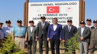 Karamanda 15 Temmuz Demokrasi Şehitleri Hatıra Ormanına 251 fidan dikildi