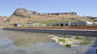 Kars Çayı zehir akıyor