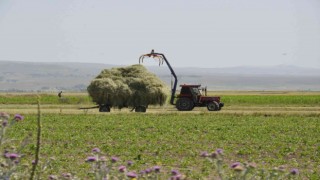 Karsta çiftçilerin ot biçme mesaisi başladı