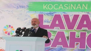 Kayseri, lavanta bahçesine dönüşüyor