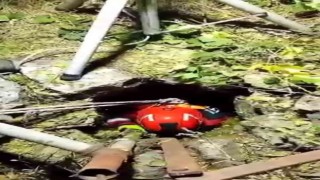 Kedi yavruları 15 metrelik kuyudan kurtarıldı