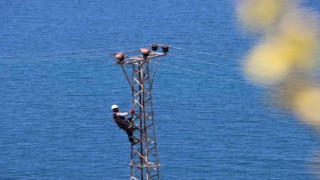 Kesintisiz enerji için kavurucu sıcaklarda zorlu bayram mesaisi