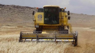 Kiliste Hububat hasadı sona erdi