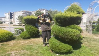 Kiliste park, refüj ve bulvarlar yaz bakımı