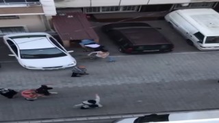 Kızının sevgilisi olduğunu öğrendi, mahalleyi birbirine kattı