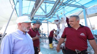 Kocasinanda kurban bayramı konforu