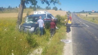 Kontrolden çıkan hafif ticari araç ağaca çarptı: 1 yaralı